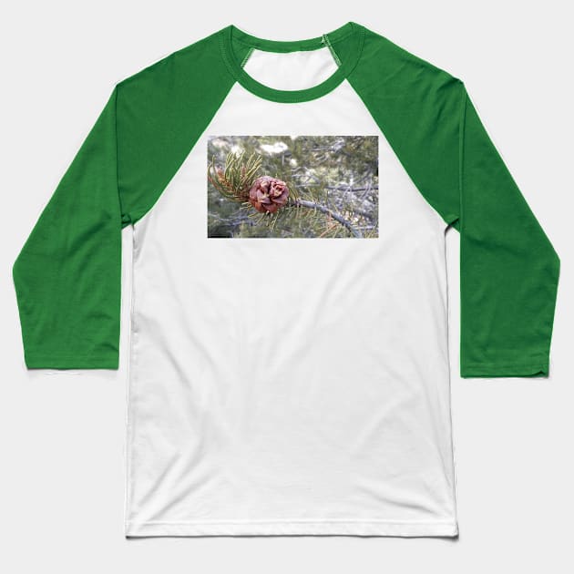 Pine Cone Baseball T-Shirt by Abnormal